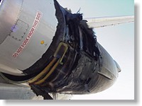 birdstrike1