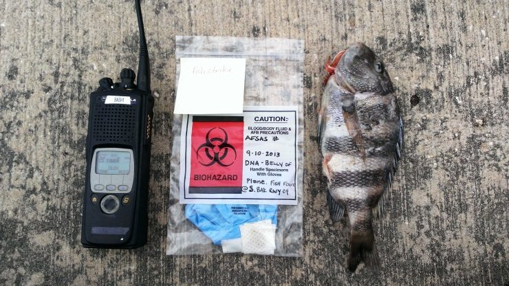 MacDill AFB Fish Strike