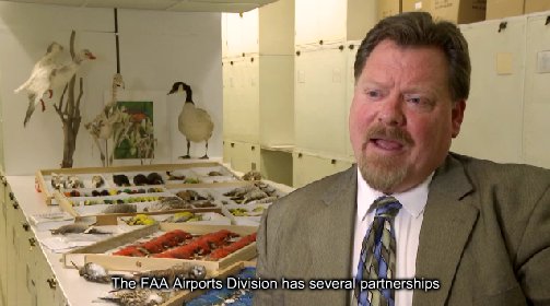 FAA video - wildlife database