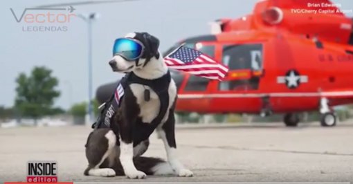 FOD News Roundup – October 3rd, 2016