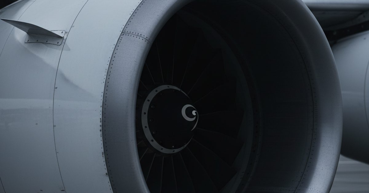 Bird Strike Downs Delta Flight Over St. Louis — Damage Confirmed