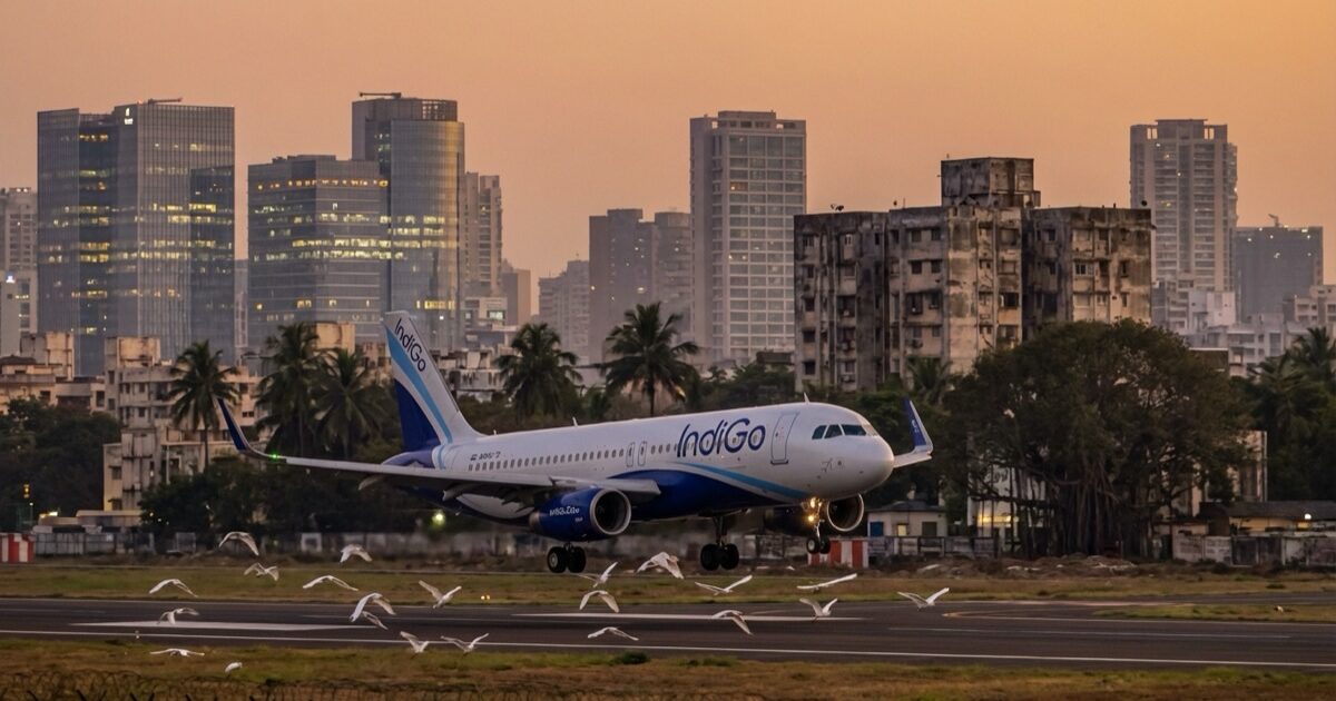 India Bird Strike Crisis: 1,782 Airport Incidents in 2025 — a 39% Year-Over-Year Jump