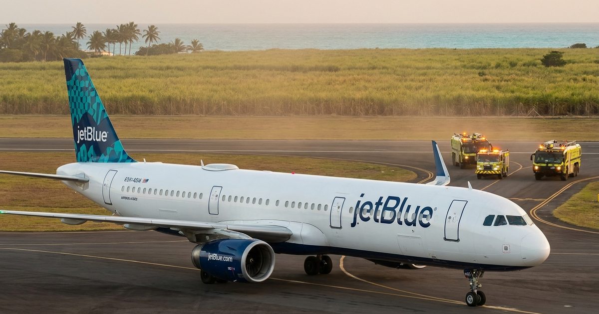 JetBlue A321 Aborts Takeoff at Saint Lucia After Bird Strike, Stranding Caribbean Passengers