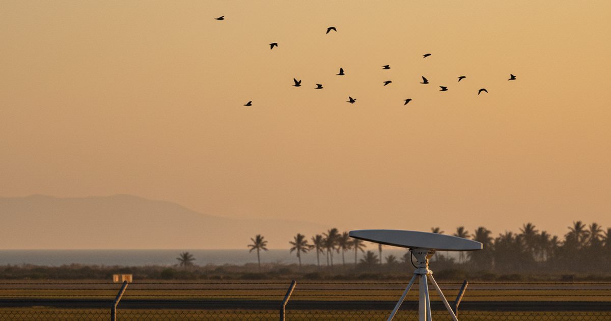 King Shaka Becomes Africa’s Second Airport with 3D Bird-Strike Radar