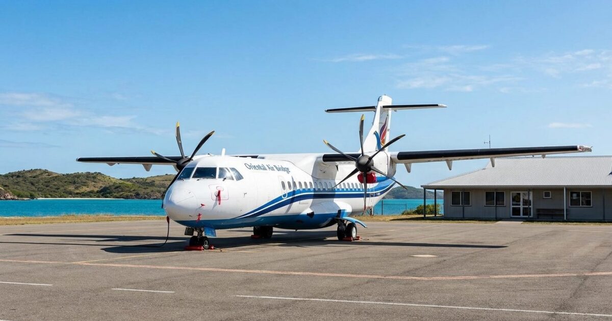 ORC Bird Strike Grounds Half Its Fleet, Cuts 118 Flights